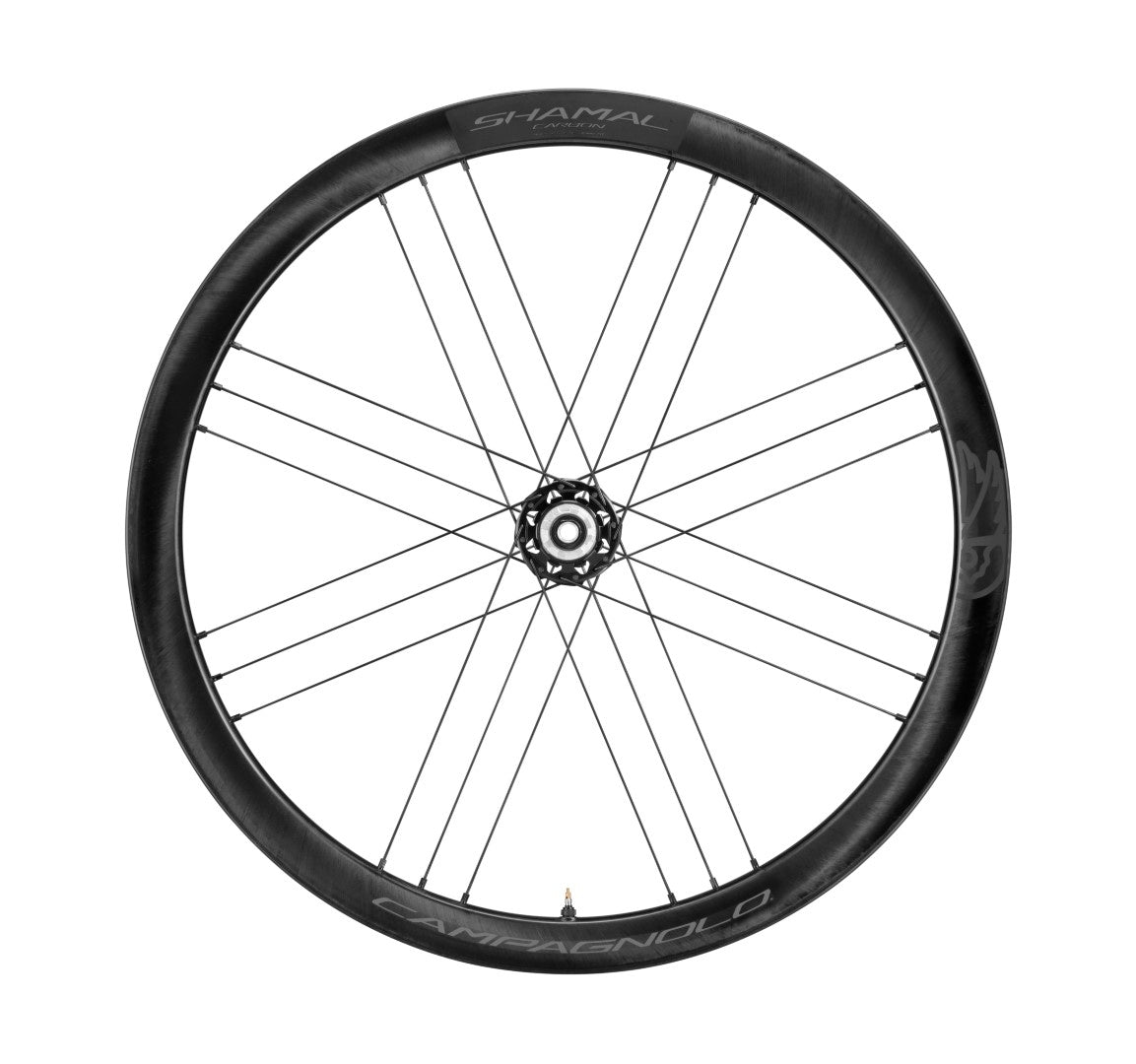 Campaganolo SHAMAL Carbon C21 Disc Brake 2WF Rear Wheel - N3W