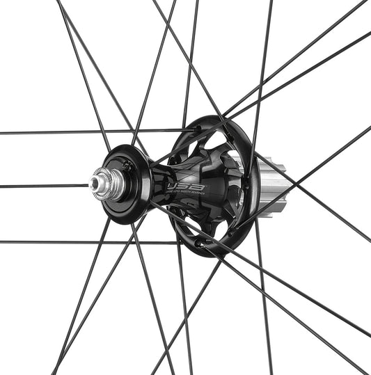 Campagnolo BORA WTO 33 2WF Dark RR Wheel - HG