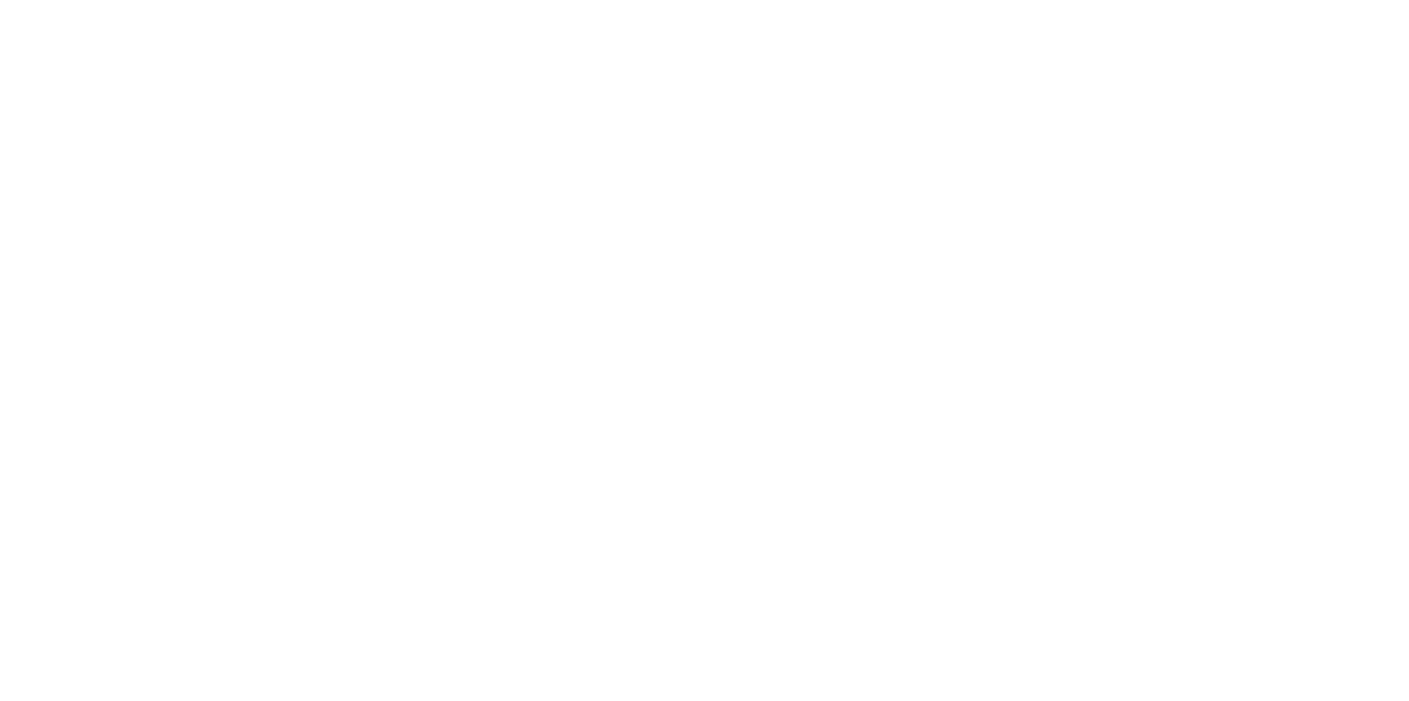 Geometry Image