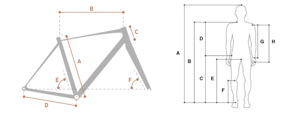 Geometry Image