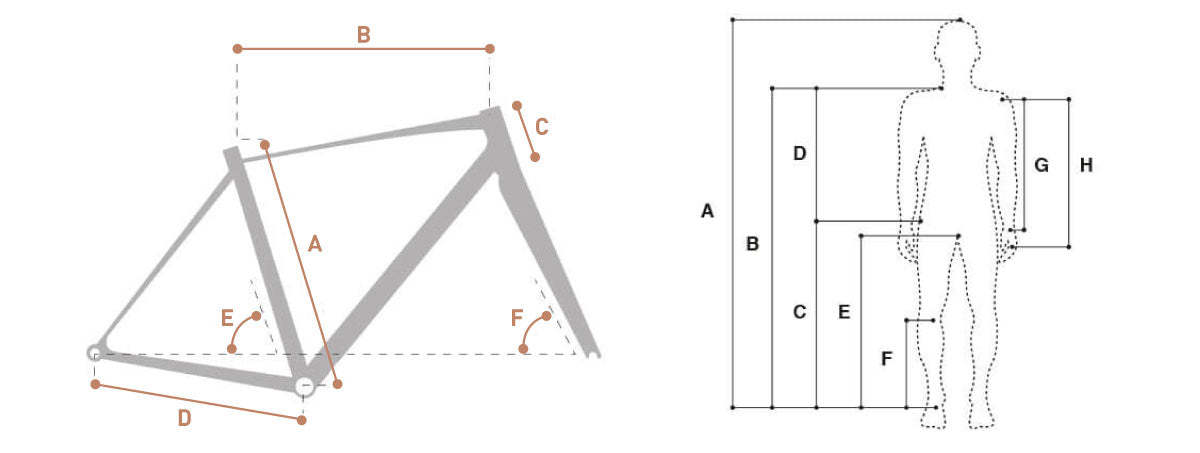 Geometry Image