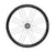 Campaganolo SHAMAL Carbon C21 Disc Brake 2WF Rear Wheel - N3W