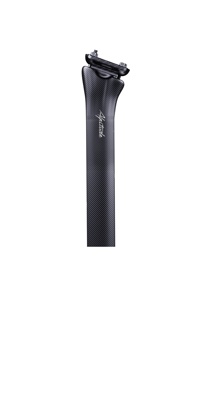 Tonale x Colnago Y1RS seatpost