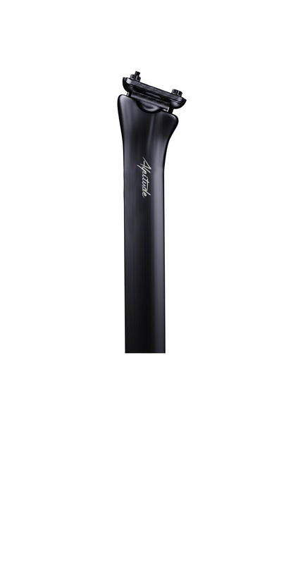 Tonale x Colnago Y1RS seatpost