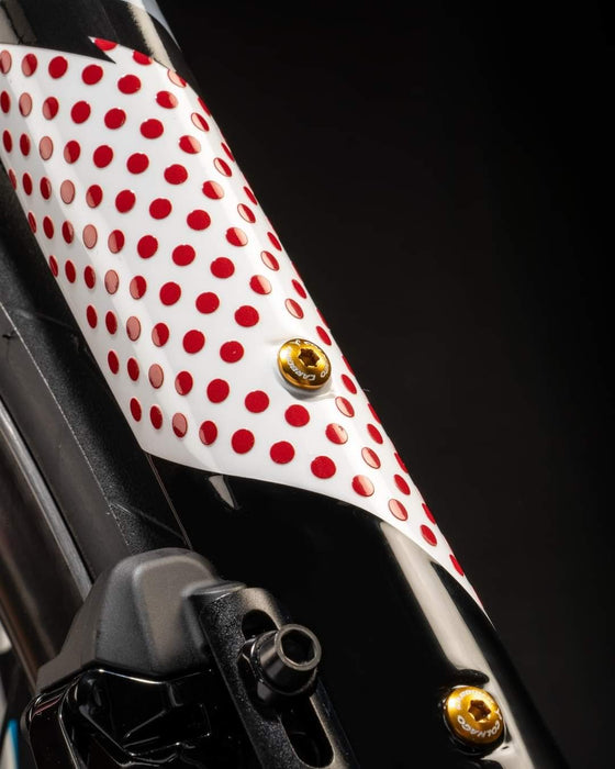 Colnago V4rs Limited Edition Tadej