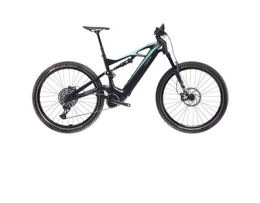 e-Vertic FX Type SX12 BOSCH (Graphite Race Matt Ck16 Matt) - Brisbane Bicycle Services