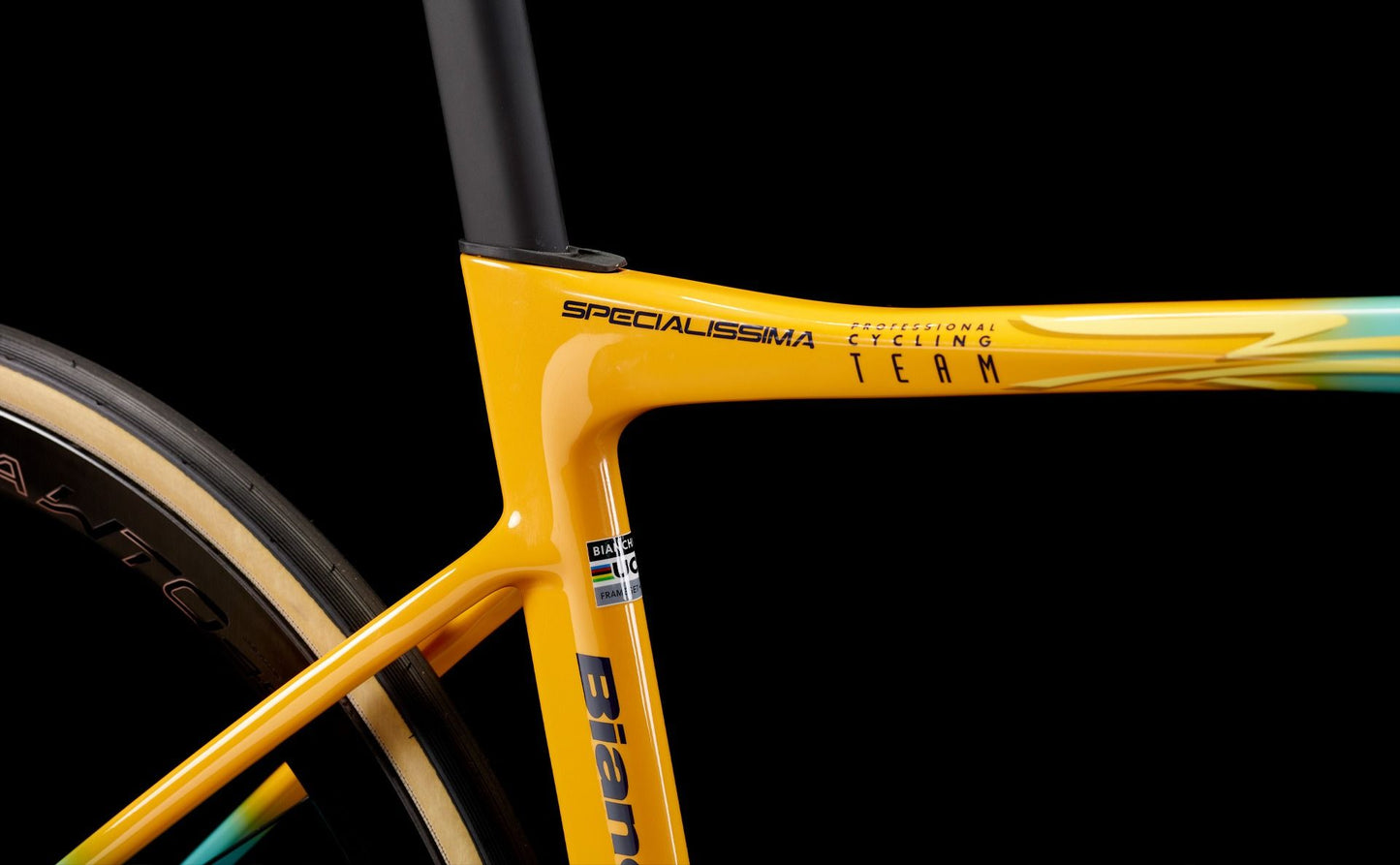 SPECIALISSIMA RC PANTANI - SUPER RECORD WRL 13SP