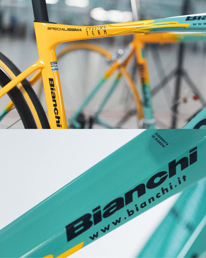 Bianchi Specialissima Limited edition Pantani