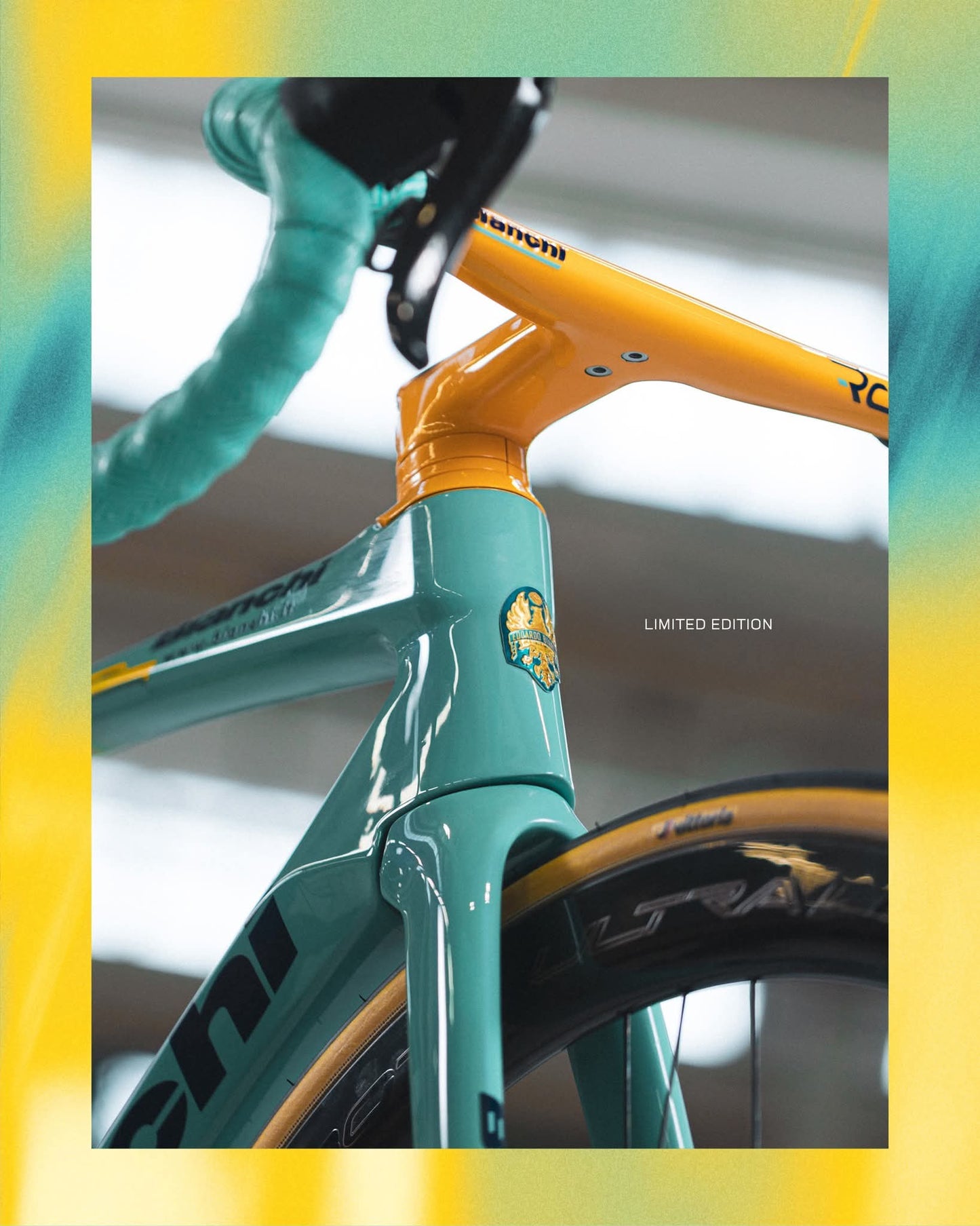 Bianchi Specialissima Limited edition Pantani